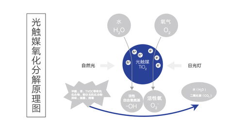 專業(yè)空氣凈化，科萊環(huán)保為您的健康保駕護航——上門除甲醛與異味工程技術(shù)服務(wù)詳解